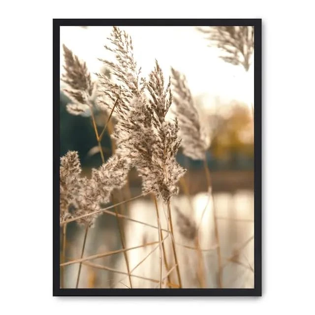 Cuadro Pampas i_FASE5