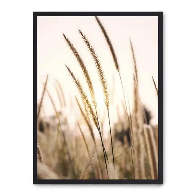 Cuadro Pampas ii_FASE5