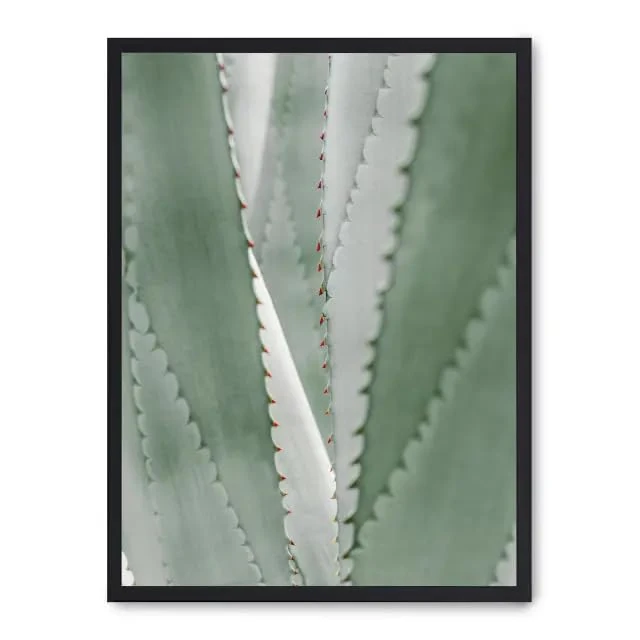 AlexandreHouse Cuadro Aloe Vera_FASE5 - Image 1