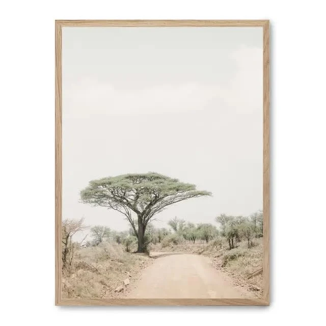AlexandreHouse Tree in the savana i_FASE5 - Image 1