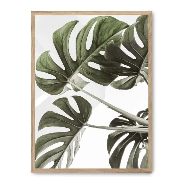 AlexandreHouse Painting monstera leaves i_FASE5 - Image 1