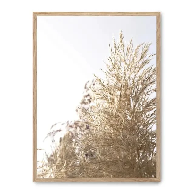 AlexandreHouse Picture wild plants ii_FASE5 - Image 1