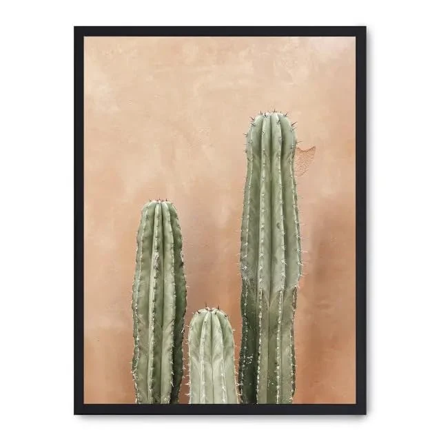 AlexandreHouse Cuadro Cactus Terracotta Background i_FASE5 - Image 1