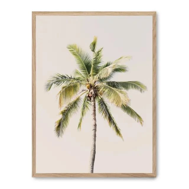 AlexandreHouse Cuadro Palm Tree and Sky ii_FASE5 - Image 1