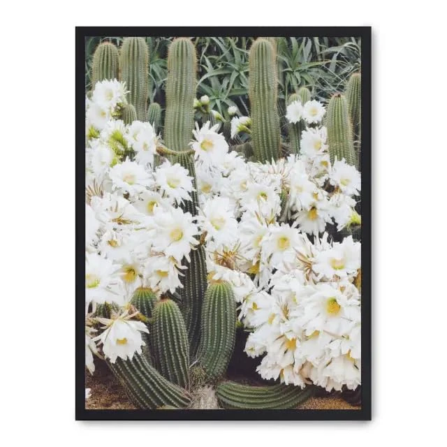 AlexandreHouse Cuadro Cactus in Flower_FASE5
