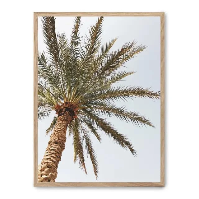 AlexandreHouse Cuadro Palm Beach ii_FASE5 - Image 1