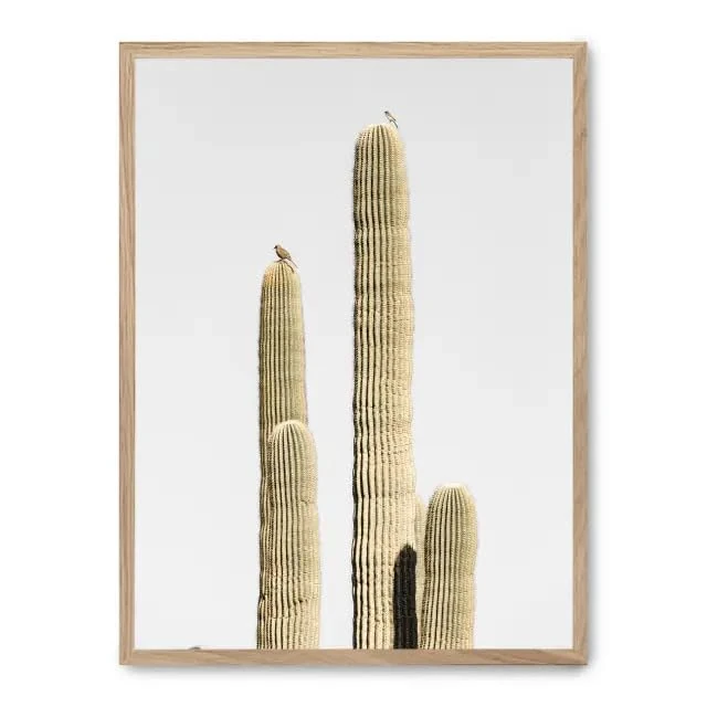 AlexandreHouse Cuadro Cactus Saguaro ii_FASE5