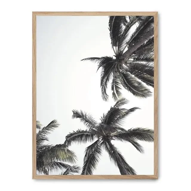 AlexandreHouse Cuadro palm trees from below i_FASE5