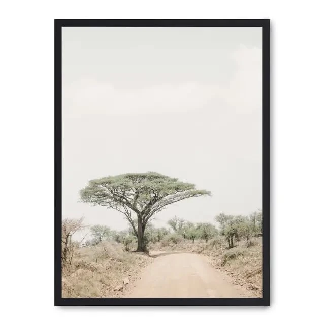 AlexandreHouse Tree in the savana i_FASE5 - Image 1