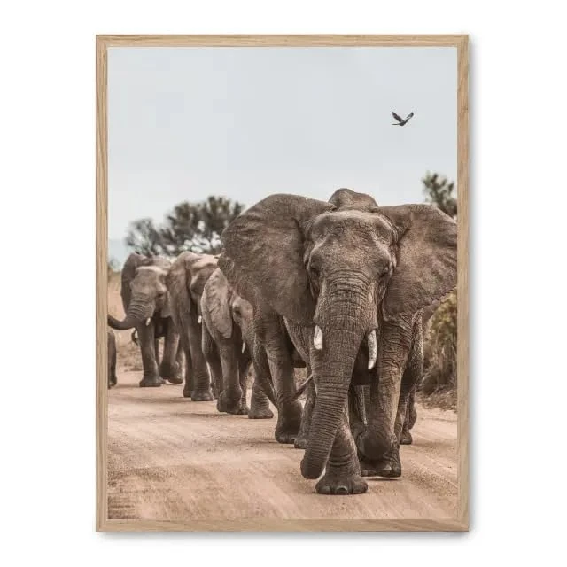 AlexandreHouse Cuadro Elephant Herd ii_FASE5 - Image 1