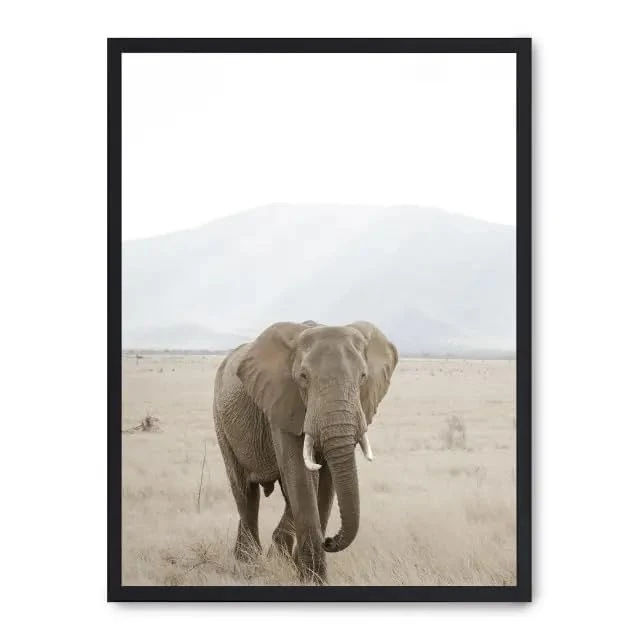 Cuadro Elephant in The Savannah i_FASE5 - Image 1