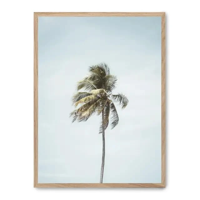 AlexandreHouse Cuadro Palm Beach i_FASE5 - Image 1