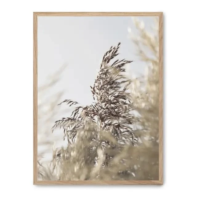 AlexandreHouse Picture wild plants i_FASE5 - Image 1