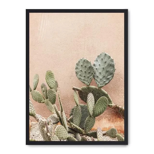 AlexandreHouse Cuadro Cactus Terracotta Background ii_FASE5 - Image 1