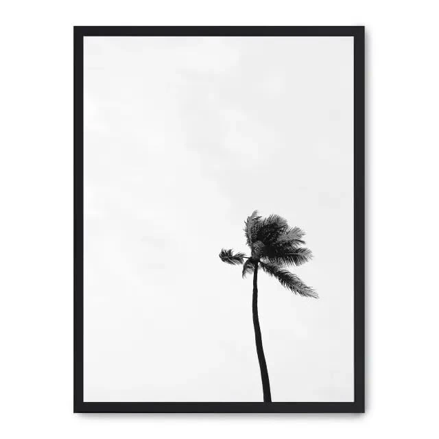 Cuadro Palm from Below_FASE5