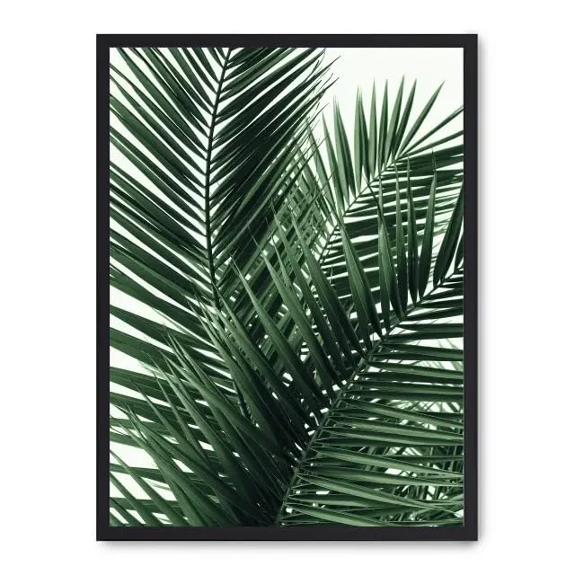 Cuadro Palm Leaves_FASE5 - Image 1