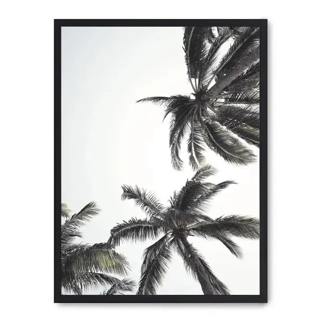Cuadro Palm Trees from Below i_FASE5