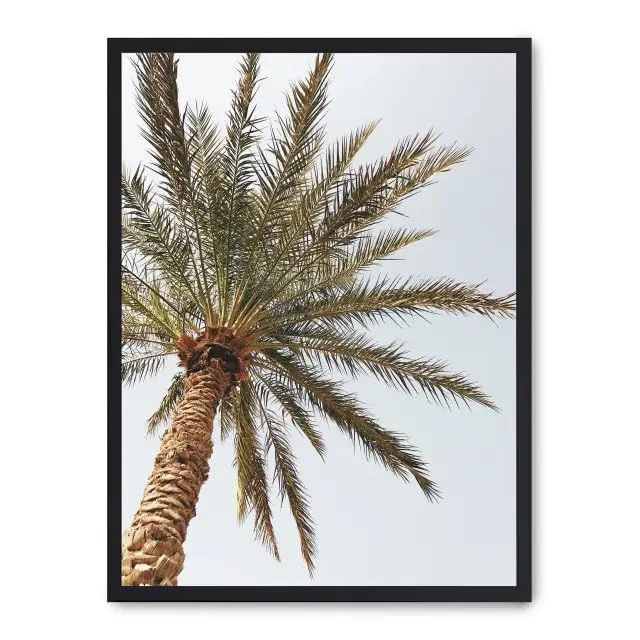 AlexandreHouse Cuadro Palm Beach ii_FASE5 - Image 1