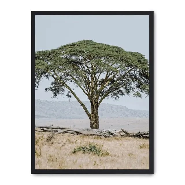AlexandreHouse Cuadro Tree in the Savannah ii_FASE5 - Image 1