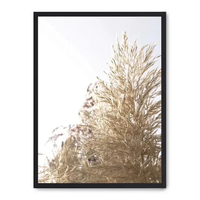 AlexandreHouse Picture wild plants ii_FASE5 - Image 1