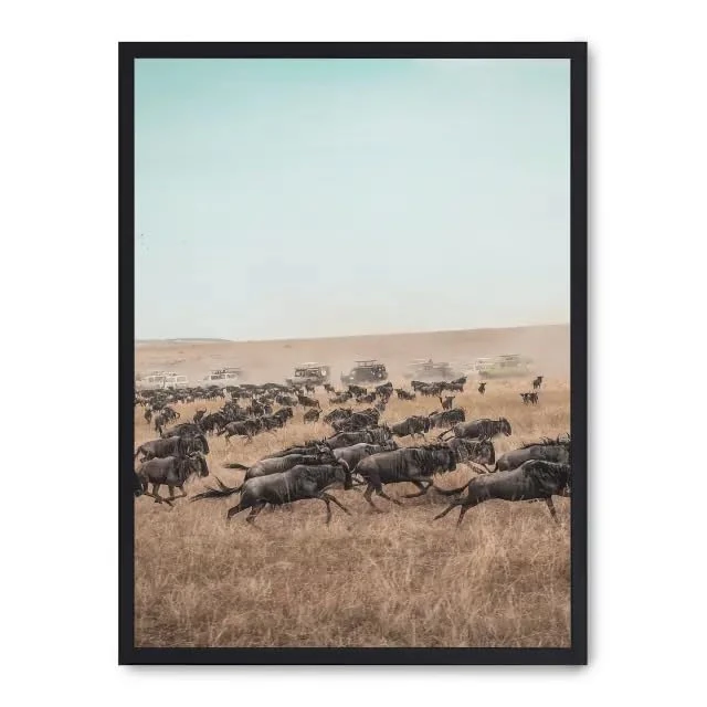 AlexandreHouse wildebeest stampede_FASE5 picture - Image 1