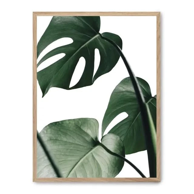 AlexandreHouse Cuadro Monstera Leaves ii_FASE5 - Image 1