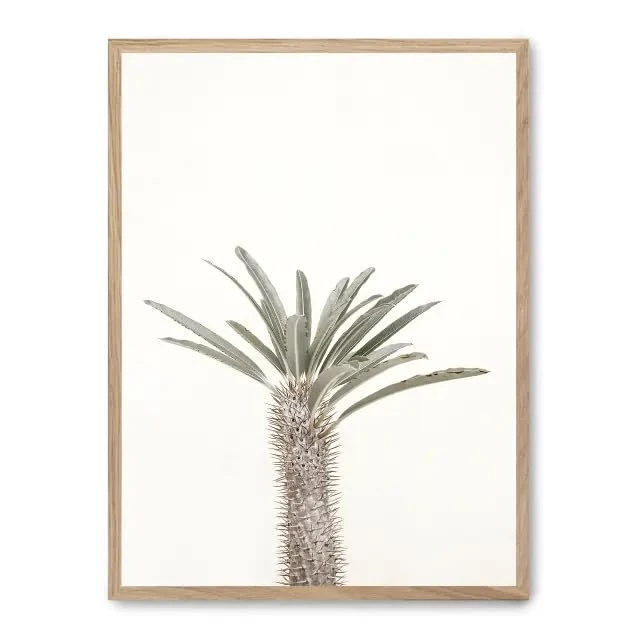 AlexandreHouse Cuadro Palm Desert_FASE5 - Image 1