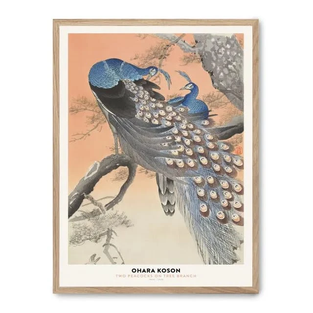 Cuadro Peacock Family_FASE5 - Image 1