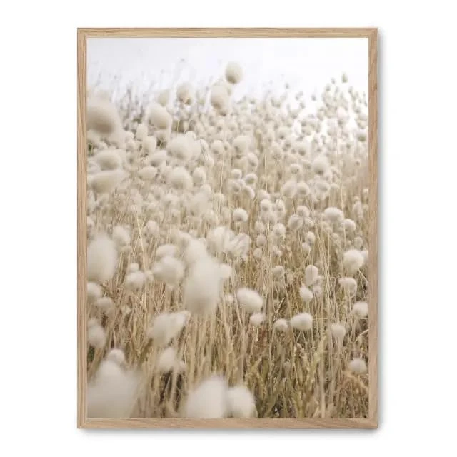 Cuadro Cotton Sea_FASE5 - Image 1