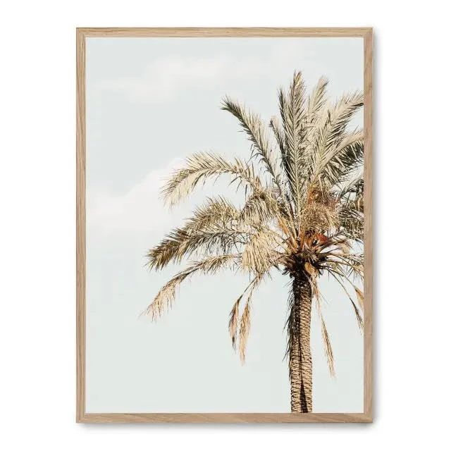 AlexandreHouse Cuadro Palm Tree and Sky i_FASE5 - Image 1