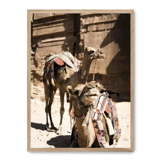 Cuadro Camels in Petra ii_FASE5 - Image 1