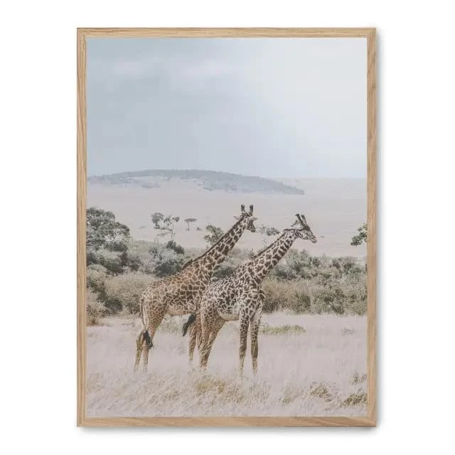 AlexandreHouse Cuadro Giraffe in the Savannah i_FASE5 - Image 1
