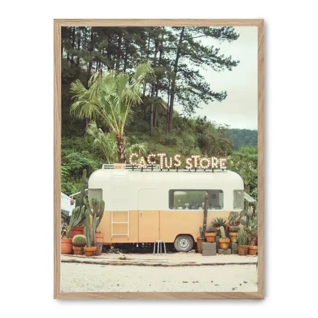 AlexandreHouse Cuadro Cactus Store_FASE5 - Image 1