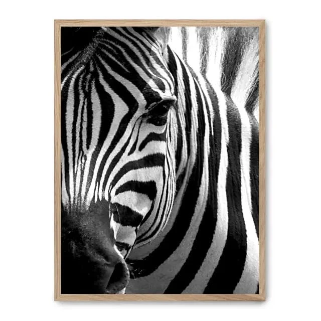 Cuadro Zebra Close Up_FASE5 - Image 1