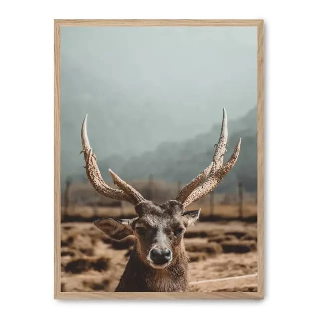 Cuadro Deer_FASE5 - Image 1