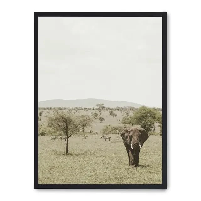 Cuadro Elephant in The Savannah ii_FASE5 - Image 1