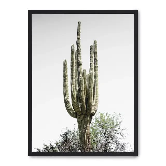 AlexandreHouse Cuadro Cactus Saguaro i_FASE5 - Image 1