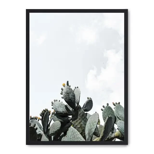 Cuadro Cactus_FASE5 - Image 1