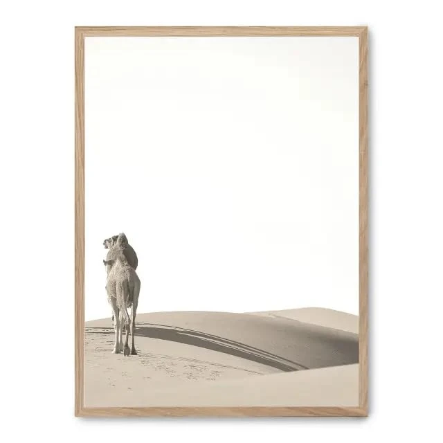 Cuadro Camels i_FASE5 - Image 1