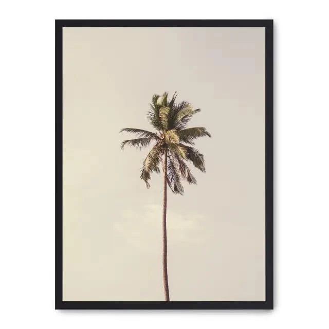 AlexandreHouse Cuadro palm tree and sky iii_FASE5 - Image 1