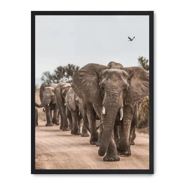 Cuadro Elephant Herd ii_FASE5