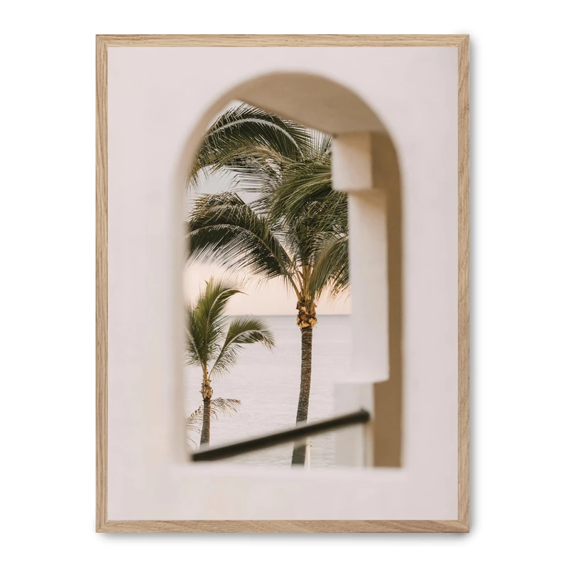 AlexandreHouse Cuadro Arc of Palms_FASE5 - Image 1