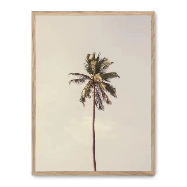 AlexandreHouse Cuadro palm tree and sky iii_FASE5 - Image 1
