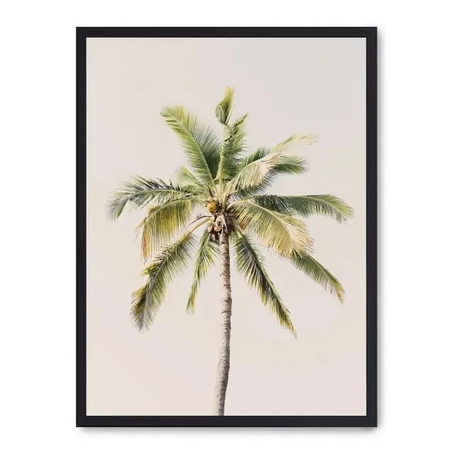 AlexandreHouse Cuadro Palm Tree and Sky ii_FASE5 - Image 1