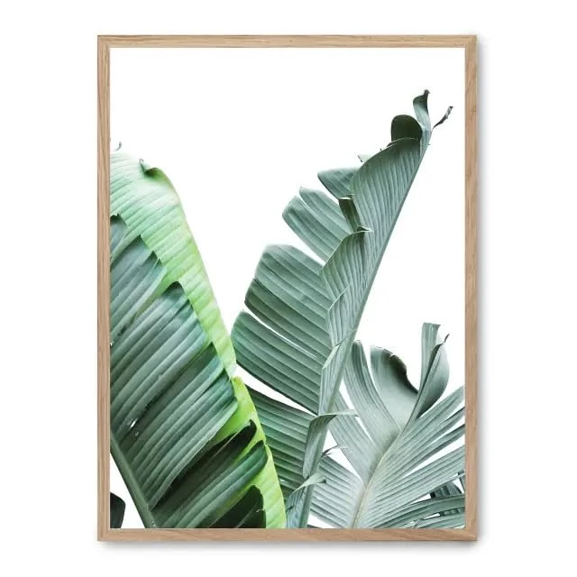 AlexandreHouse Banana leaves picture ii_FASE5 - Image 1
