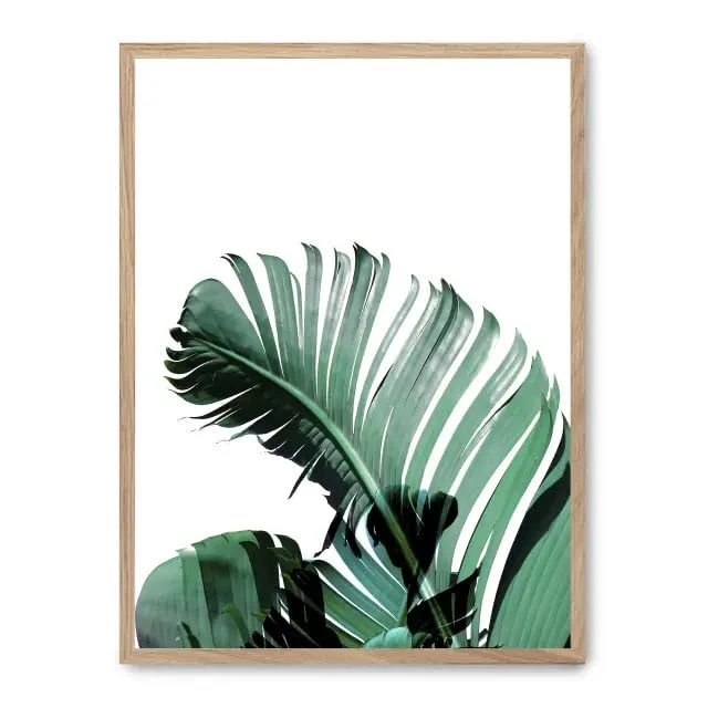 AlexandreHouse Banana leaves picture iii_FASE5 - Image 1
