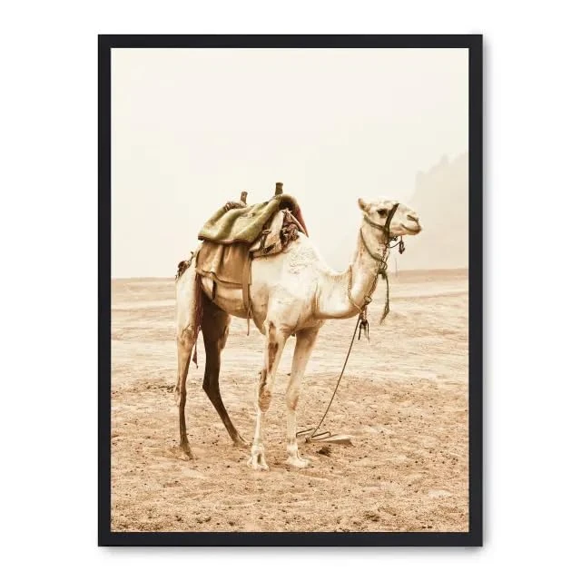 AlexandreHouse Cuadro Camel Trip_FASE5