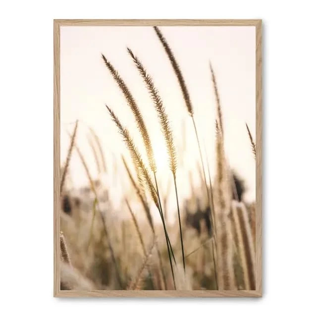 Cuadro Pampas ii_FASE5 - Image 1
