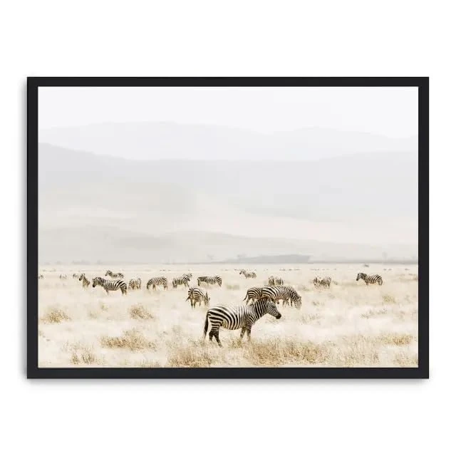 Cuadro grazing Zebras_FASE5 - Image 1