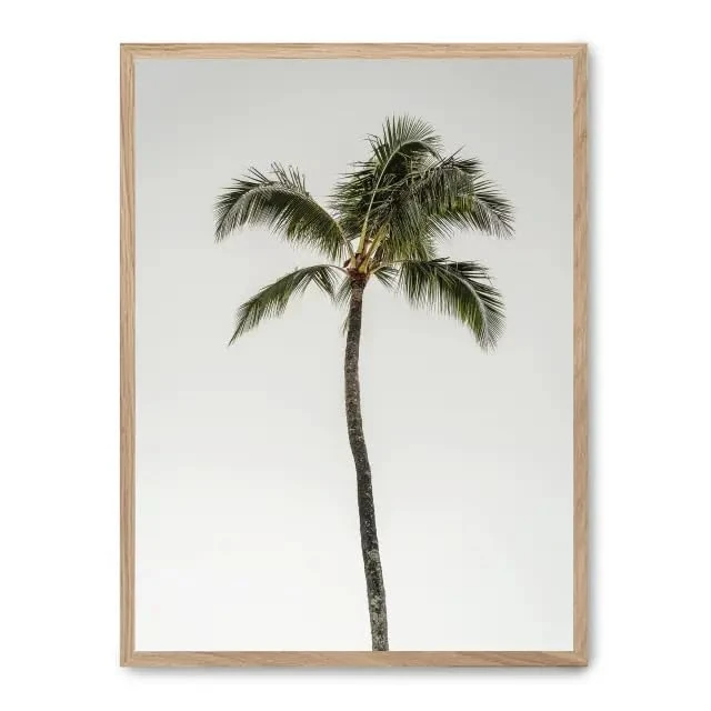 AlexandreHouse Cuadro palm tree by the beach_FASE5